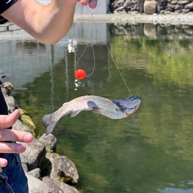 Nagoya Private Tour - Fishing pond