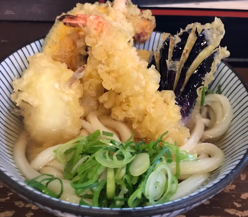 Kagawa Private Tour - Try Udon noodle!