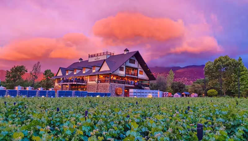 Santiago Private Tour - 