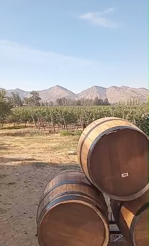 Santiago Private Tour - 