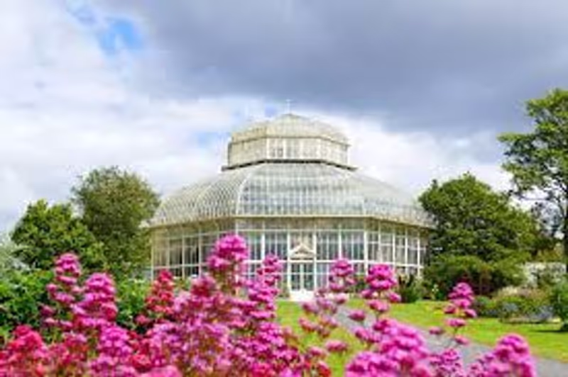 Dublin Private Tour - National Botanic Gardens