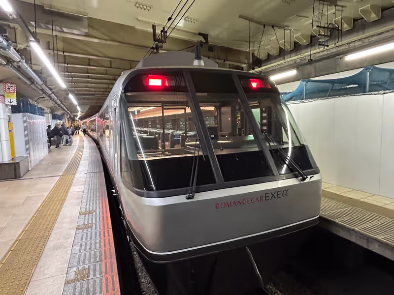 Tokyo Private Tour - Romance Car