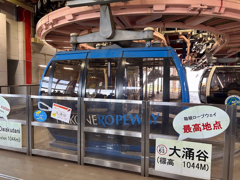 Tokyo Private Tour - ropeway