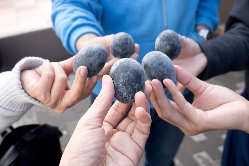Tokyo Private Tour - let us share the black eggs
