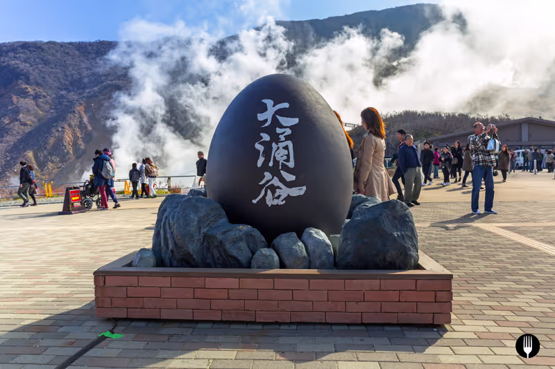 Tokyo Private Tour - Owakudani Black Egg Photo Booth