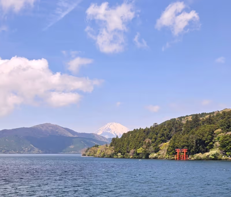 Tokyo Private Tour - Ashi Lake with Tori gate and Fuji