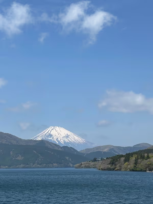 Tokyo Private Tour - View of Mount Fuji