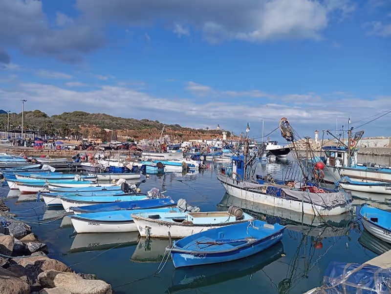 Algiers Private Tour - fishing Tipazaport