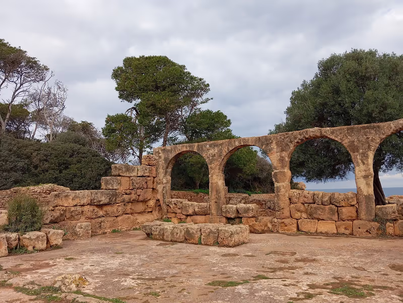 Algiers Private Tour - Tipaza roman ruins site
