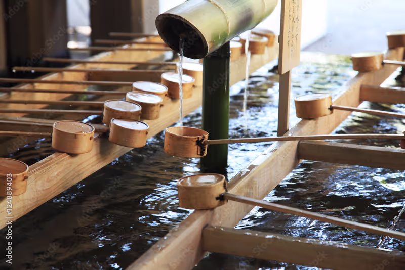 Tokyo Private Tour - Meiji Shrine