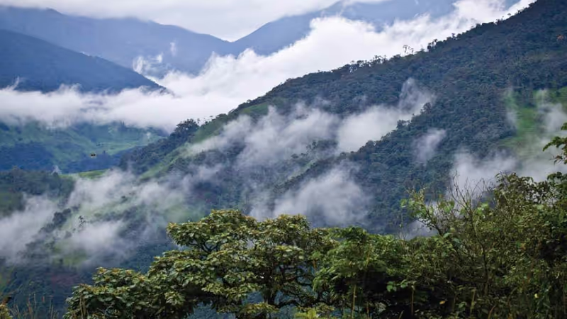 Quito Private Tour - 