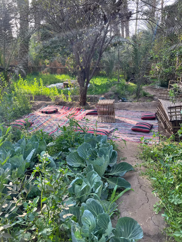 Cairo Private Tour - 