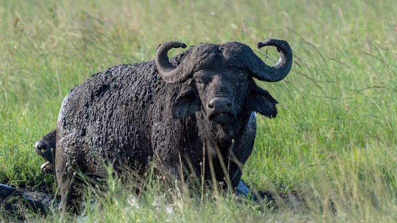 Arusha Private Tour - 