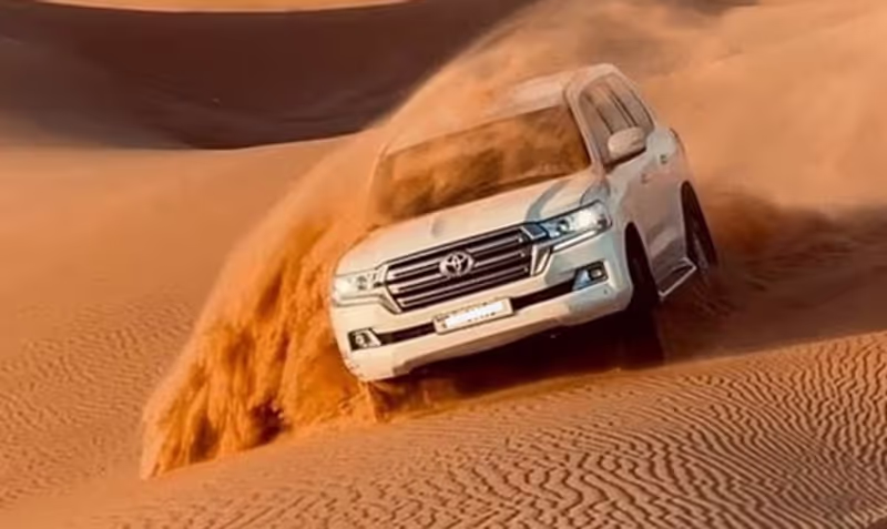Dubai Private Tour - safari