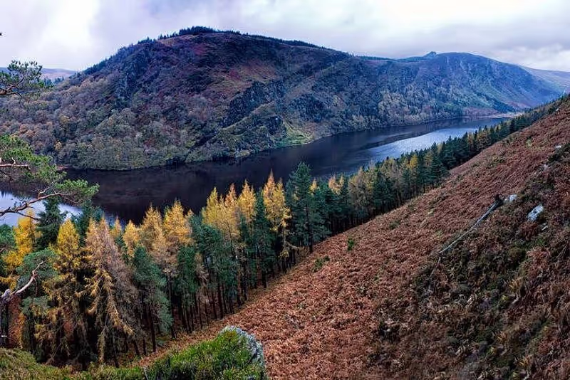 Dublin Private Tour - Wicklow mountain view