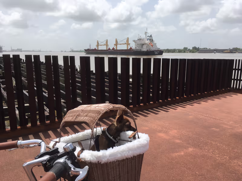 New Orleans Private Tour - Crescent Park