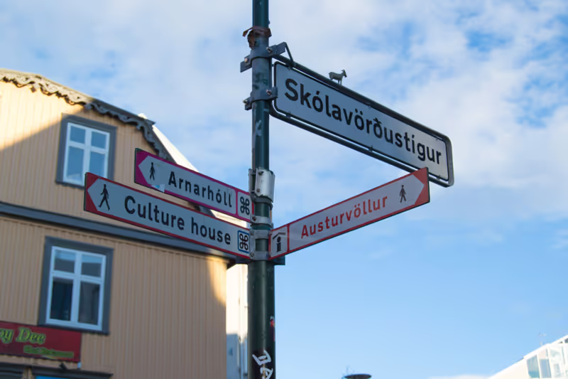 Reykjavik Private Tour - We can go anywhere in the town :)