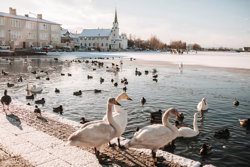 Reykjavik Private Tour - Tjornin pond