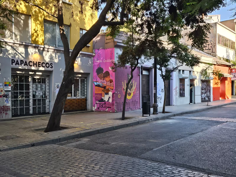 Santiago Private Tour - Lastarria Street