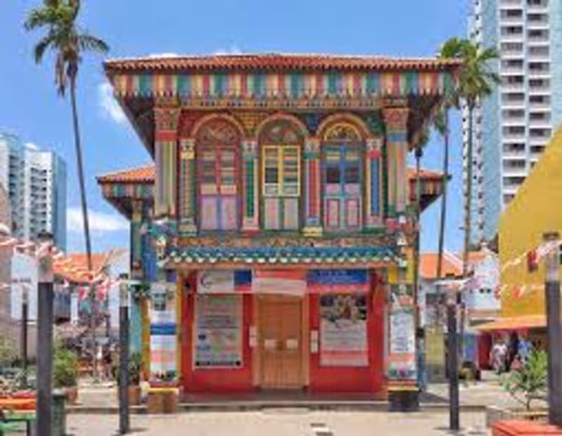 Singapore Private Tour - Little India