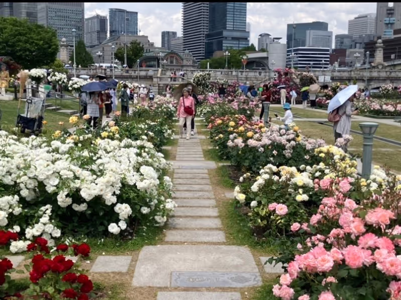 Osaka Private Tour - Rose Garden in Nakanoshima