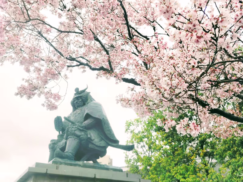 Yamanashi Private Tour - Kofu Station