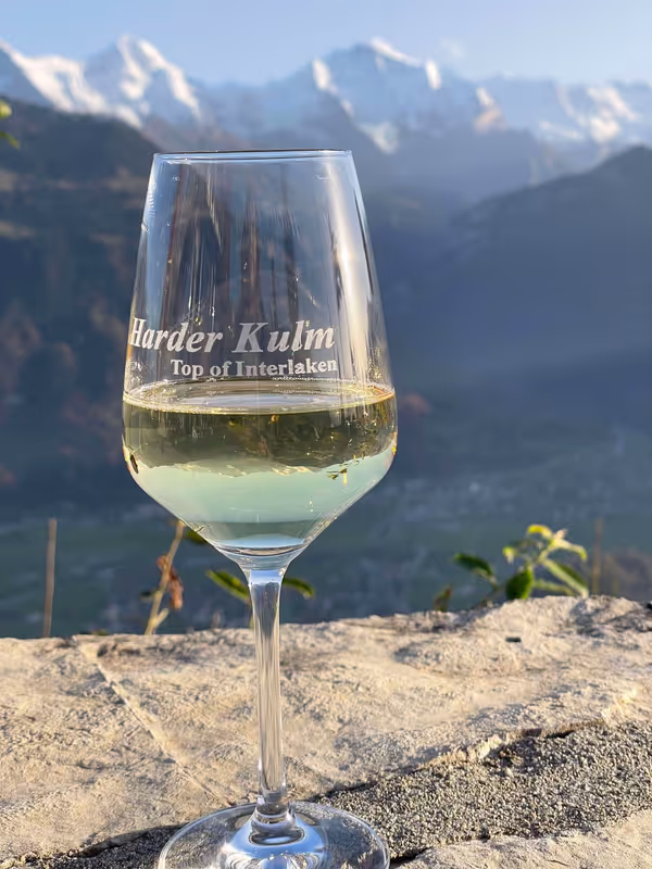 Lucerne Private Tour - 