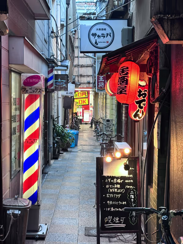 Osaka Private Tour - a local izakaya street