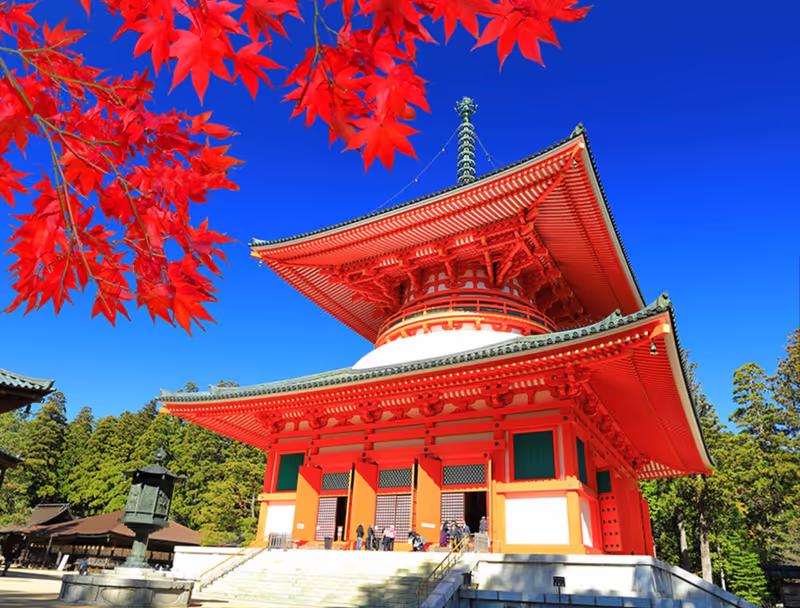 Mount Koya Private Tour - 