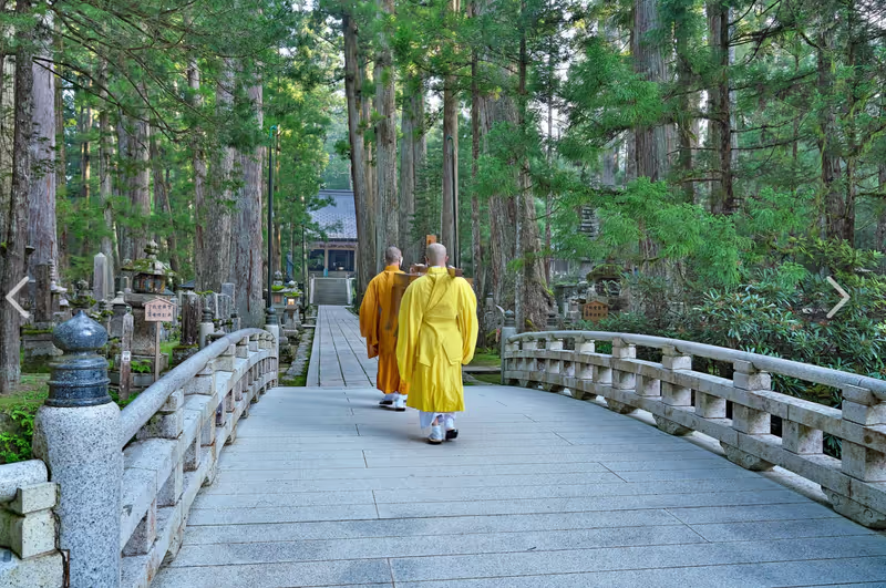 Mount Koya Private Tour - 