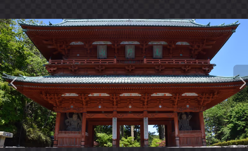 Mount Koya Private Tour - 