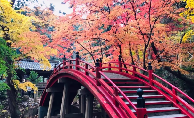 Mount Koya Private Tour - 