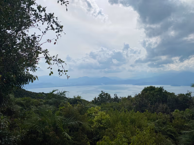 Da Nang Private Tour - City view from the jungle