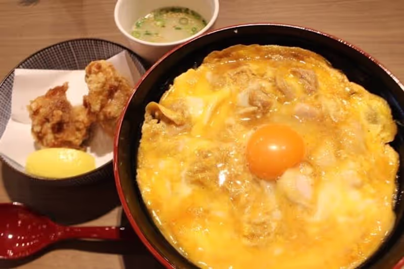 Nagoya Private Tour - Kinshachiyokocho
