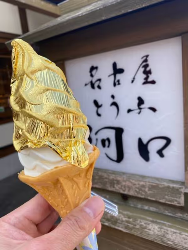 Nagoya Private Tour - Kinshachiyokocho