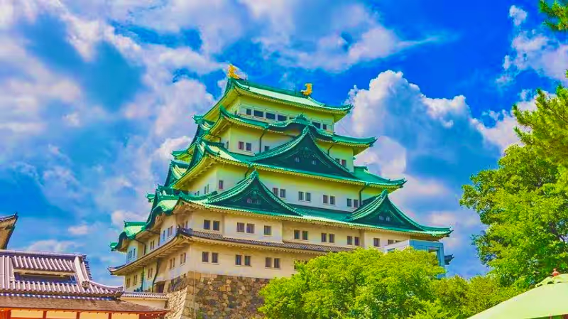 Nagoya Private Tour - Nagoya Castle