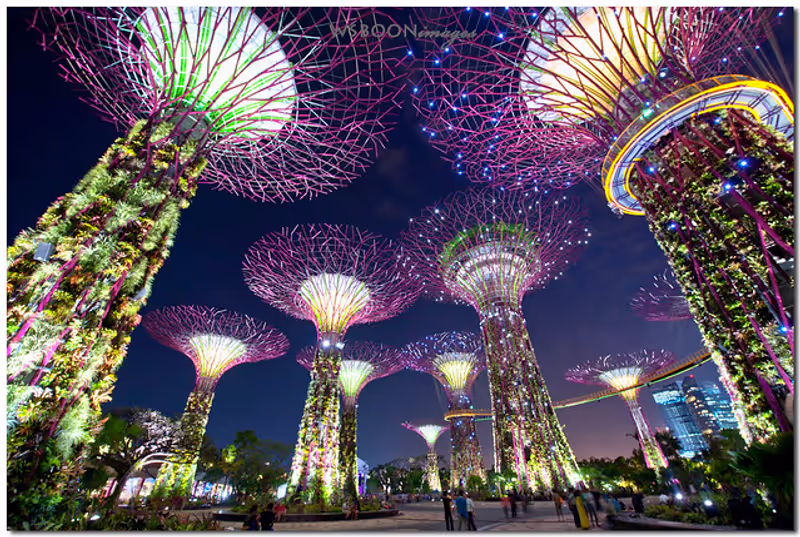 Singapore Private Tour - Garden by The Bay