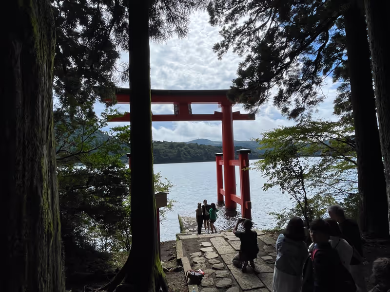 Tokyo Private Tour - The famous Torii di Hakone