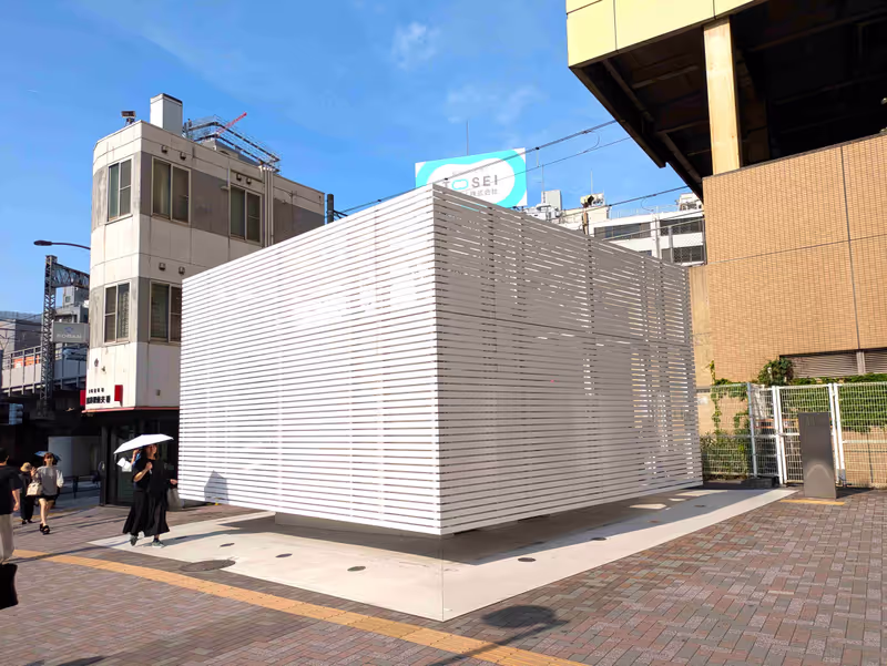 Tokyo Private Tour - White toilets.
