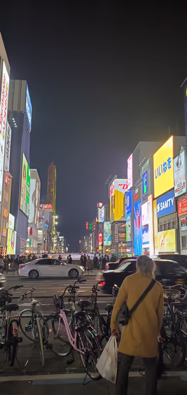 Osaka Private Tour - 