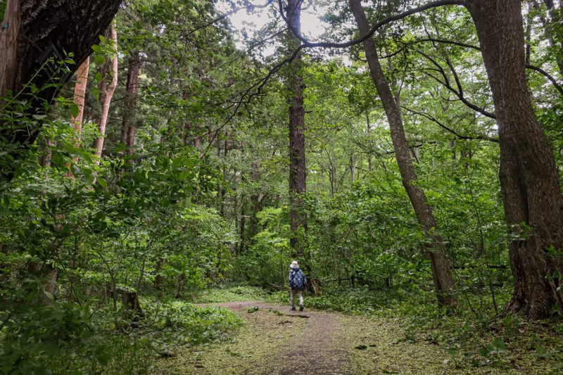 Sapporo Private Tour - The hikin trail up to the summit of Mt. Maruyama