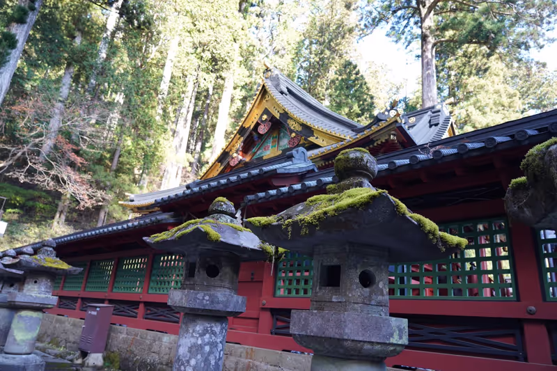 Tokyo Private Tour - Toshogu jinja in Nikko