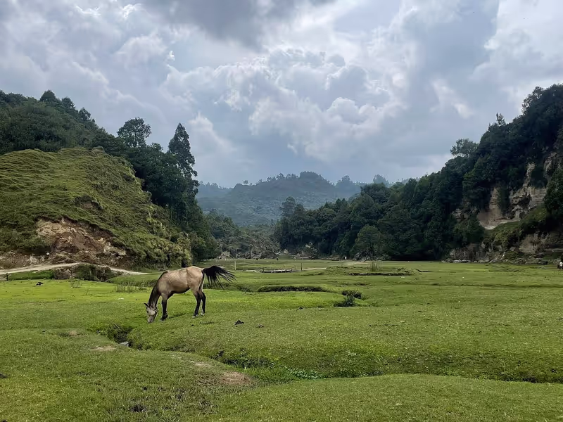 Addis Ababa Private Tour - 