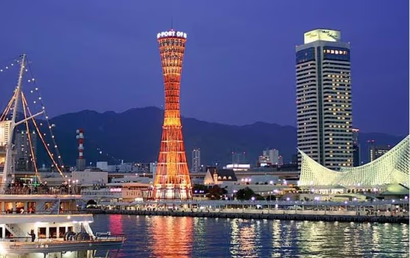 Himeji Private Tour - 
