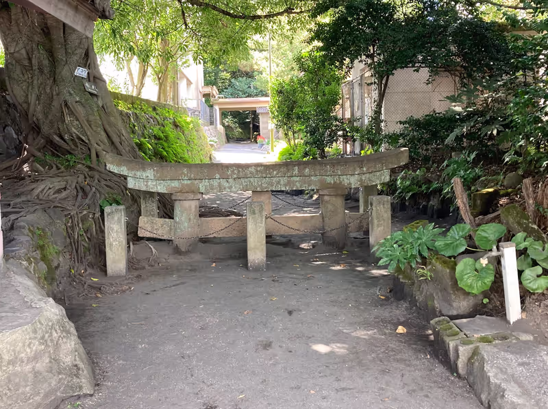 Kagoshima Private Tour - Kurokami Buried Shrine Gate (Optional)