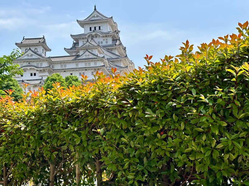 Osaka Private Tour - a view from west bailey(Nishinomaru)