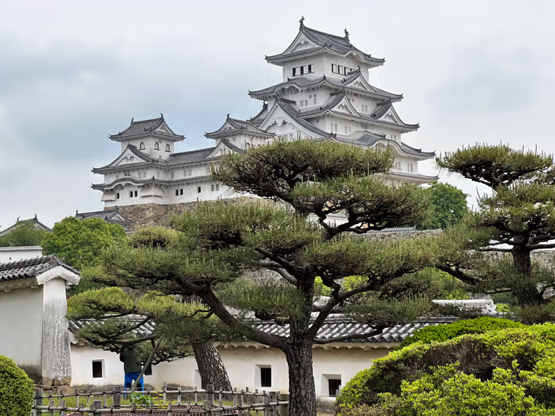 Osaka Private Tour - a view from west bailey(Nishinomaru)