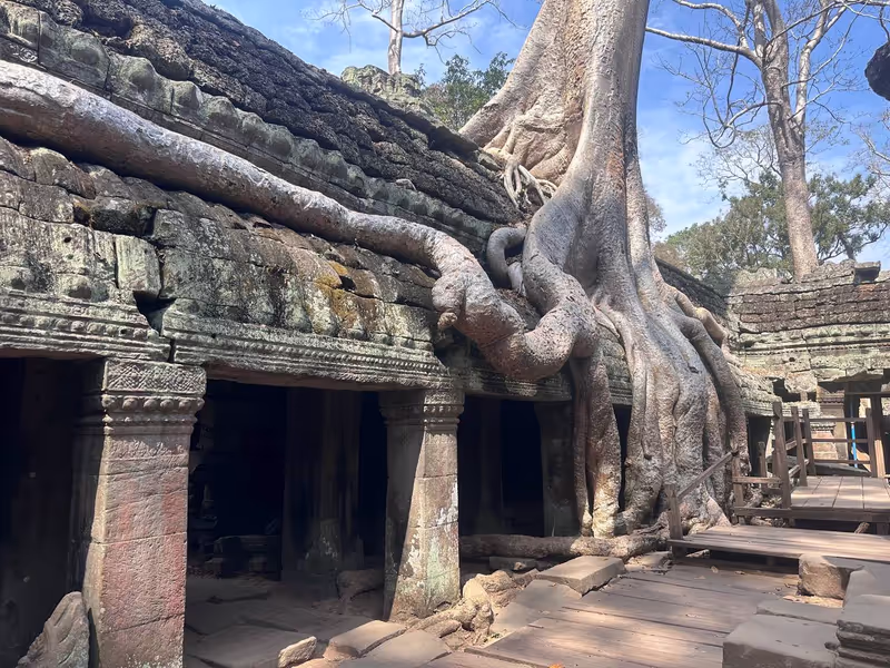 Siem Reap Private Tour - Grand arbre