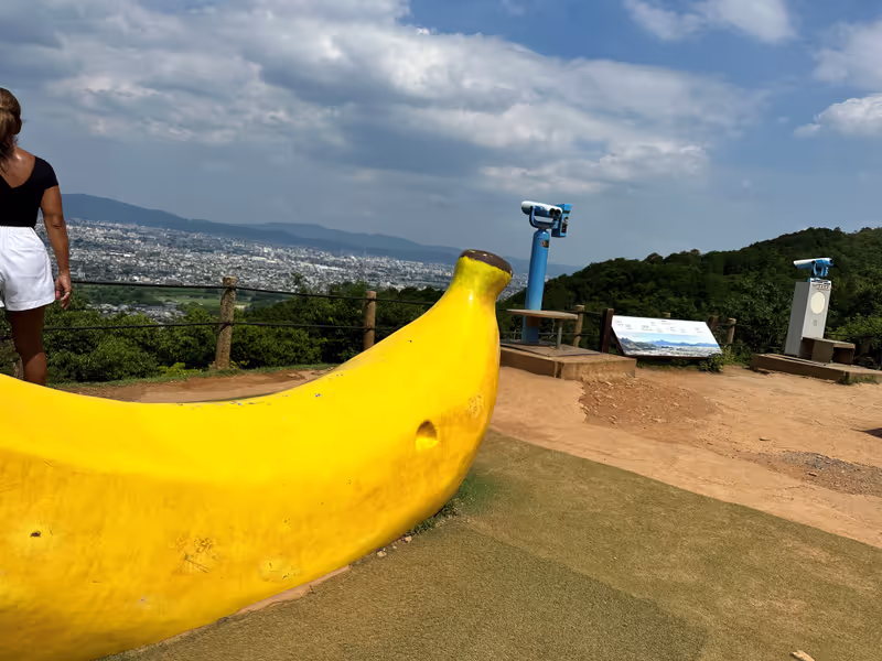 Kyoto Private Tour - on the top of monkey mountain