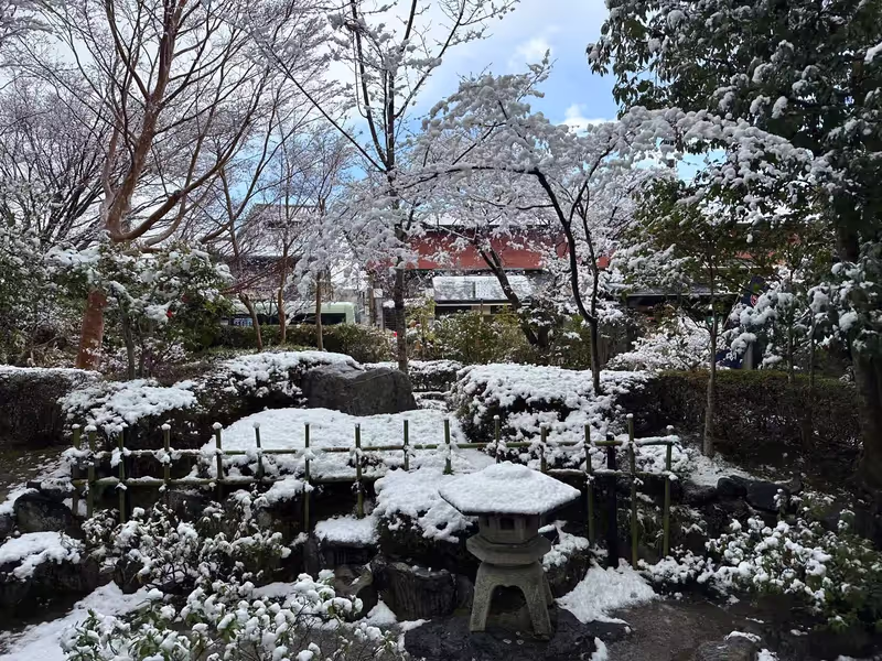 Kyoto Private Tour - snow on the garden